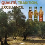 Une farandole de saveurs d’huiles d’olive aromatisées - Coffret Trio Saveurs – Image 4