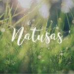 NATUSAS LABO - Huiles végétales - Huile d’amande douce de 100 ml – Image 3
