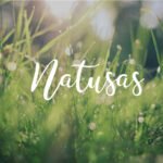 NATUSAS LABO - Huiles végétales - Huile de sésame  de 100 ml – Image 3