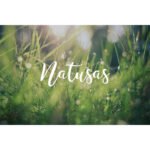 NATUSAS LABO - Cosmétiques Naturels - Poudres d’argile Jaune 50 g – Image 3
