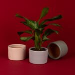 Pot en céramique émaillé esprit vintage design Cylindrique T 3 – Image 2