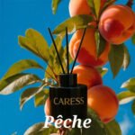 Diffuseur de parfum avec bâtonnets Caresse Professional bouquets fleuris Sublime Pêche! 100% fabrication artisanale Flacon de 120 ml – Image 3