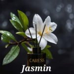 Diffuseur de parfum avec bâtonnets de Caresse Professional bouquets fleuris Sublime Jasmin! 100% fabrication artisanale Flacon de 120ml – Image 3