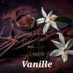 Diffuseur de parfum avec bâtonnets de Caresse Professional bouquets fleuris Sublime Vanille! 100% fabrication artisanale Flacon de 120 ml – Image 3