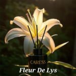 Diffuseur de parfum avec bâtonnets de Caresse Professional bouquets fleuris Sublime Fleur de lys! 100% fabrication artisanale Flacon de 250 ml – Image 3