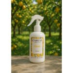 Parfum d’ambiance Caresse Professional le parfum Sublime Citron! 100% fabrication artisanale Flacon de 250 ml – Image 2