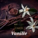 Rechange pour diffuseur Caresse Professional bouquets fleuris Sublime Vanille! 100% fabrication artisanale Flacon – Image 4