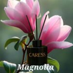 Rechange pour diffuseur Caresse Professional bouquets fleuris Sublime Magnolia! 100% fabrication artisanale Flacon – Image 4