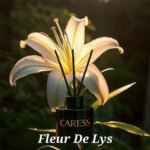 Rechange pour diffuseur Caresse Professional bouquets fleuris Sublime Fleur de lys! 100% fabrication artisanale Flacon – Image 4